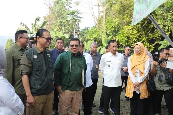 IMG-20250625-WA0008